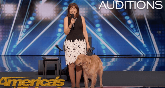 Simon Cowell, usually hard to impress, couldn’t hide his smile and gave them glowing feedback. Fans from across the country fell in love with Oscar’s endearing talent. Watch the full video in the comments below