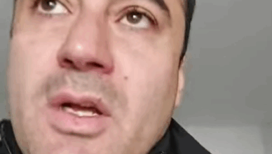 веди