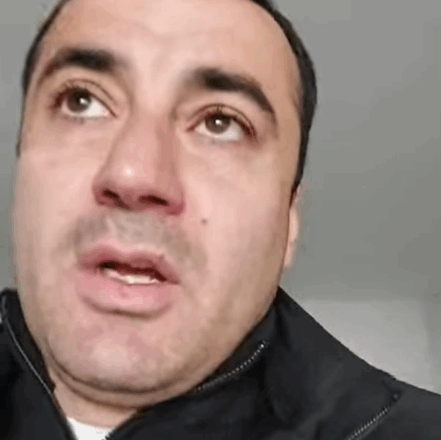 веди