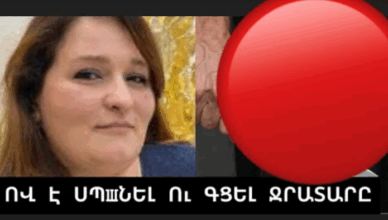 OV E SPANEL ARMINEIN