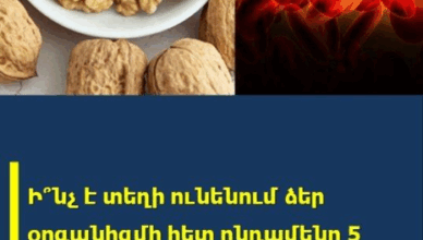 INCH KKATARVI 5 @NKUYZ UTELUC