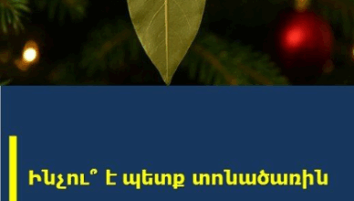 DAPNU TEREV