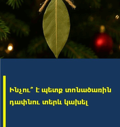 DAPNU TEREV