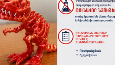 В Армении обнаружена опасная игрушка.
