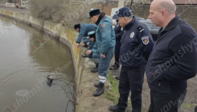 арехцвацаин депк