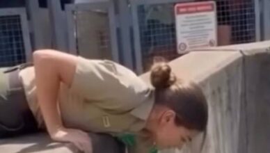 Una lección de cautela cambió la carrera de una cuidadora de zoológico